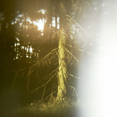 http://www.martinagiammaria.com/files/gimgs/4_img021.jpg