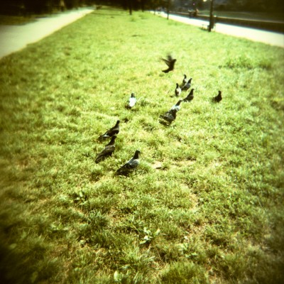 http://www.martinagiammaria.com/files/gimgs/4_img031.jpg